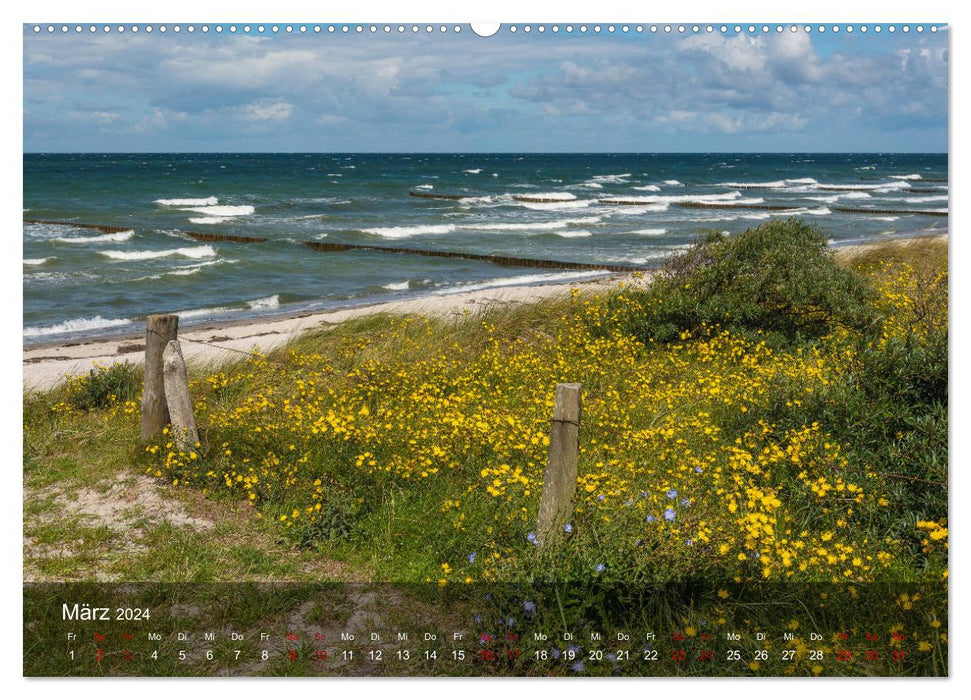 Insel Hiddensee - Wildromantisch unberührt (CALVENDO Premium Wandkalender 2024)