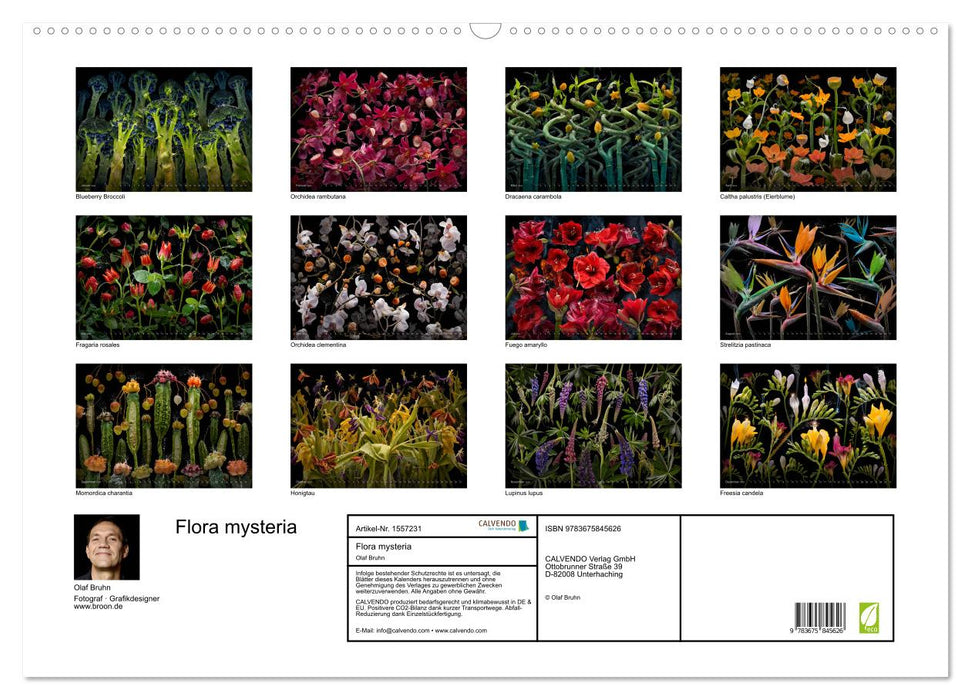 Flora mysteria - Die wundersame Welt des Fotografen Olaf Bruhn (CALVENDO Wandkalender 2024)