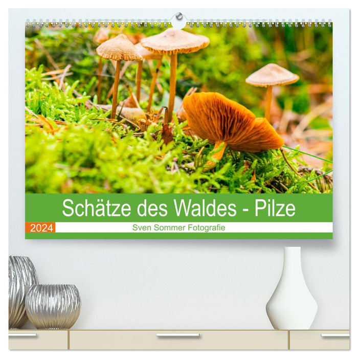 Schätze des Waldes - Pilze (CALVENDO Premium Wandkalender 2024)