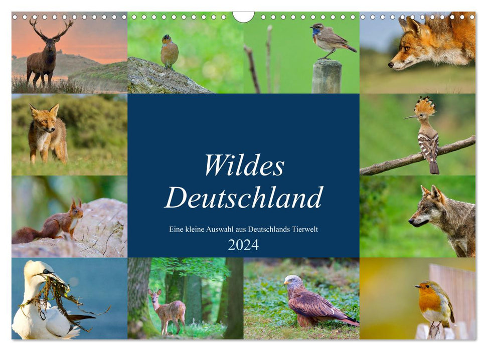 Wildes Deutschland (CALVENDO Wandkalender 2024)