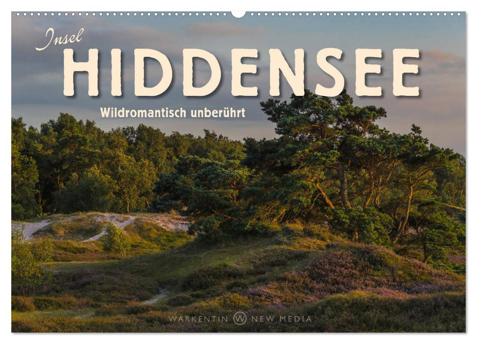 Insel Hiddensee - Wildromantisch unberührt (CALVENDO Wandkalender 2024)