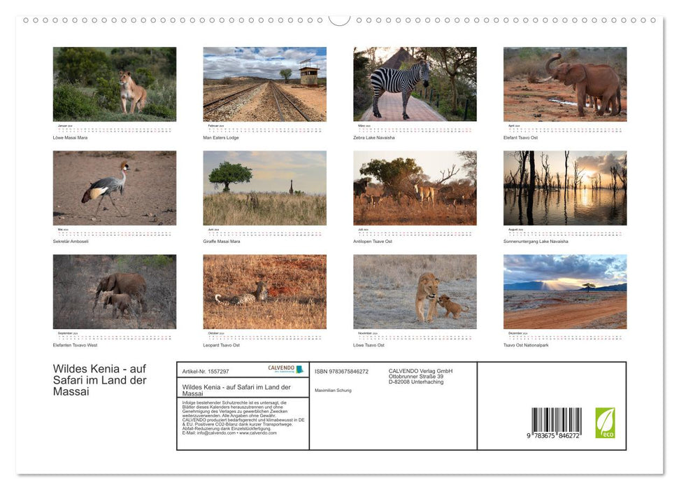 Wildes Kenia - auf Safari im Land der Massai (CALVENDO Premium Wandkalender 2024)