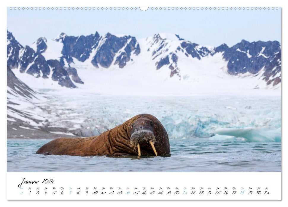 Heike Odermatt: 80° Nord - Fotografien von Spitzbergen und Nordaustland (CALVENDO Premium Wandkalender 2024)