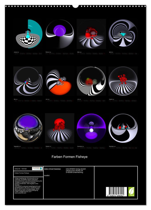 Farben Formen Fisheye (CALVENDO Premium Wandkalender 2024)
