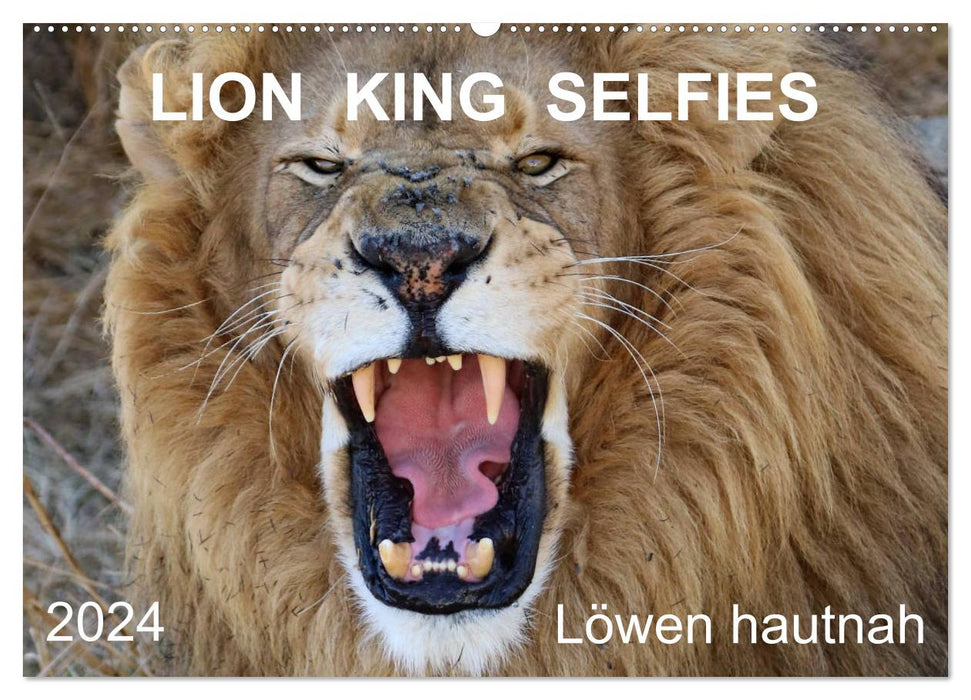 ROI LION SELFIES Lions de près (Calendrier mural CALVENDO 2024) 