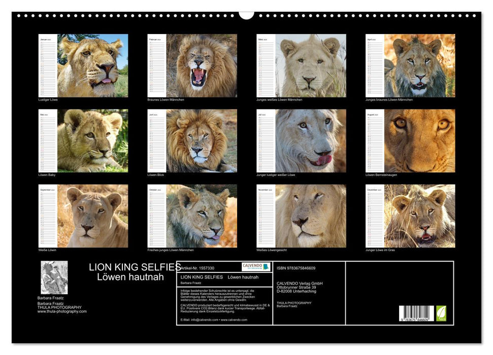 ROI LION SELFIES Lions de près (Calendrier mural CALVENDO 2024) 