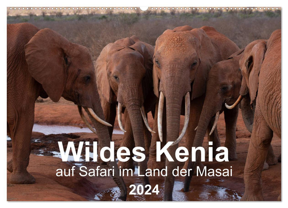 Kenya sauvage - en safari au pays des Massaï (Calendrier mural CALVENDO 2024) 