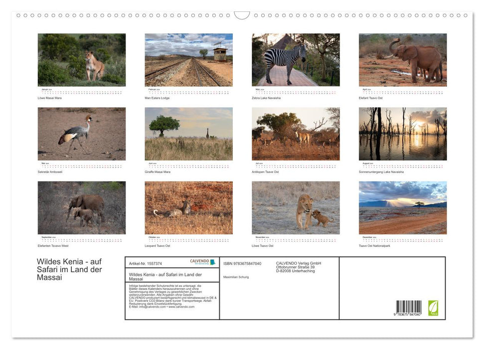 Wildes Kenia - auf Safari im Land der Massai (CALVENDO Wandkalender 2024)