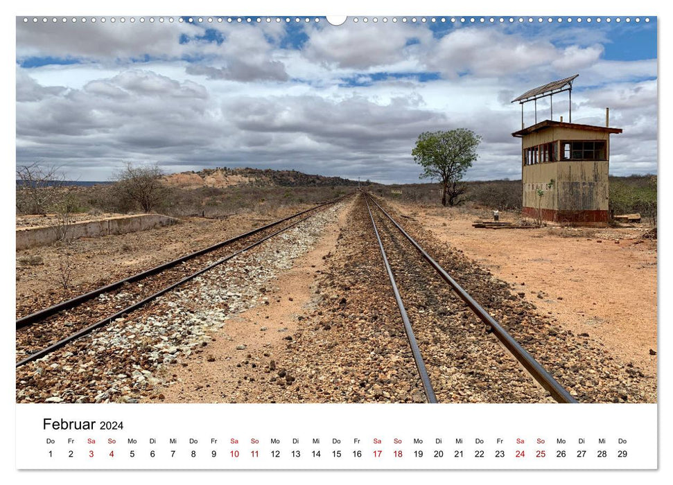 Wildes Kenia - auf Safari im Land der Massai (CALVENDO Wandkalender 2024)