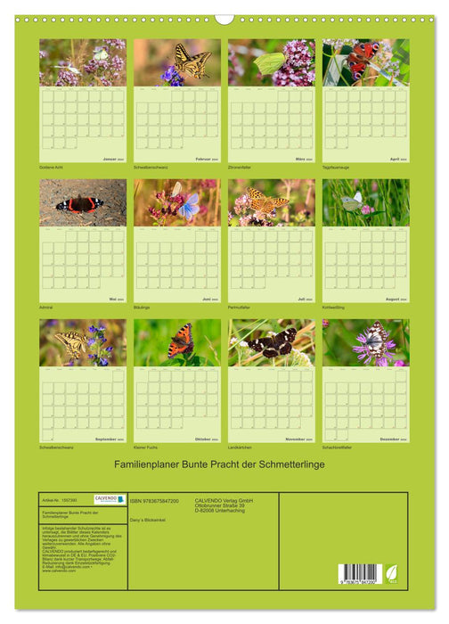 Familienplaner Bunte Pracht der Schmetterlinge (CALVENDO Wandkalender 2024)
