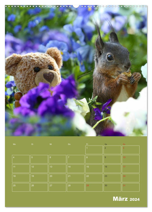 Écureuil - Aventure avec son ami Teddy (Calvendo Premium Wall Calendar 2024) 