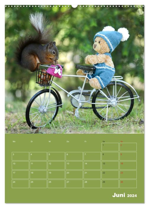 Eichhörnchen - Abenteuer mit Freund Teddy (CALVENDO Premium Wandkalender 2024)