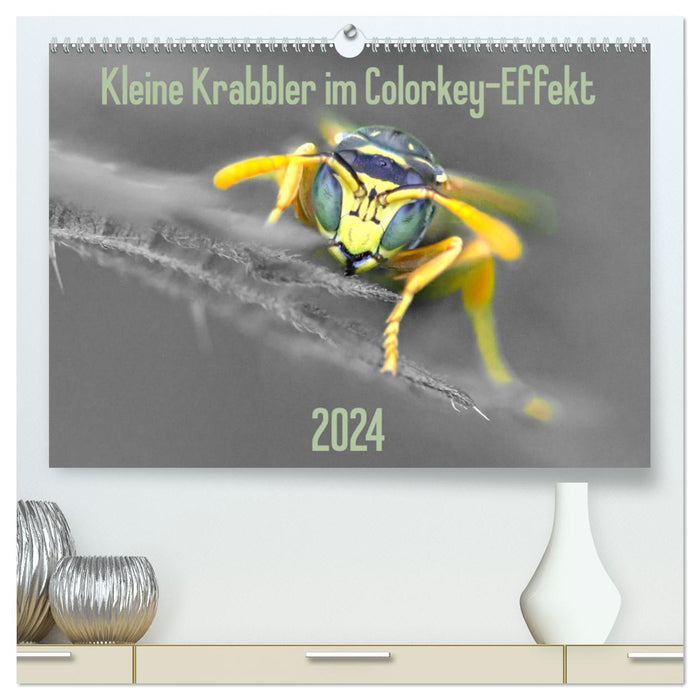 Petites chenilles effet touche de couleur (Calendrier mural CALVENDO Premium 2024) 