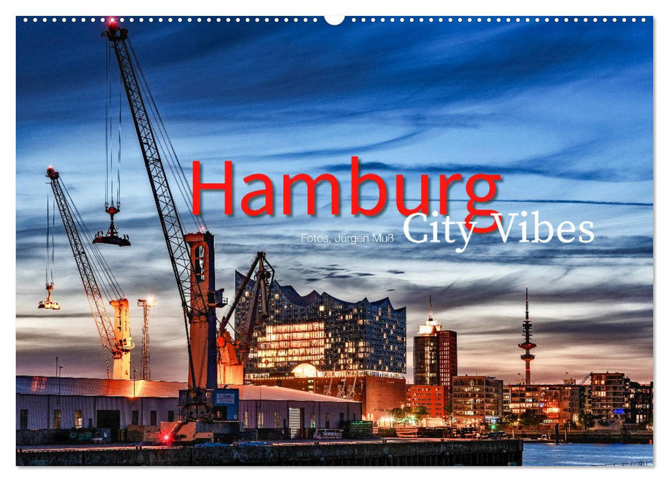 Hamburg City Vibes (CALVENDO Wandkalender 2024)