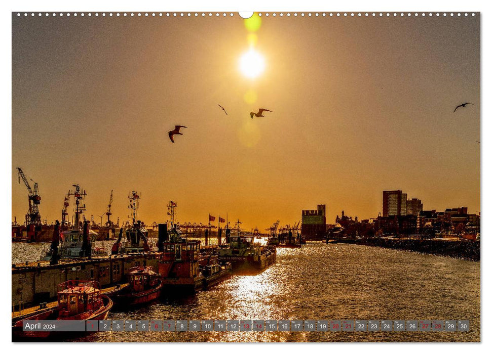 Hamburg City Vibes (CALVENDO Wandkalender 2024)
