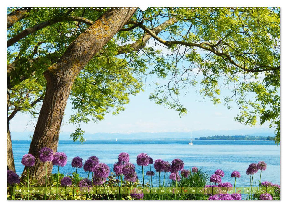 Lac de Constance coloré (Calvendo Premium Calendrier mural 2024) 
