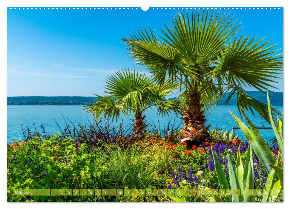 Farbenfroh Bodensee (CALVENDO Premium Wandkalender 2024)