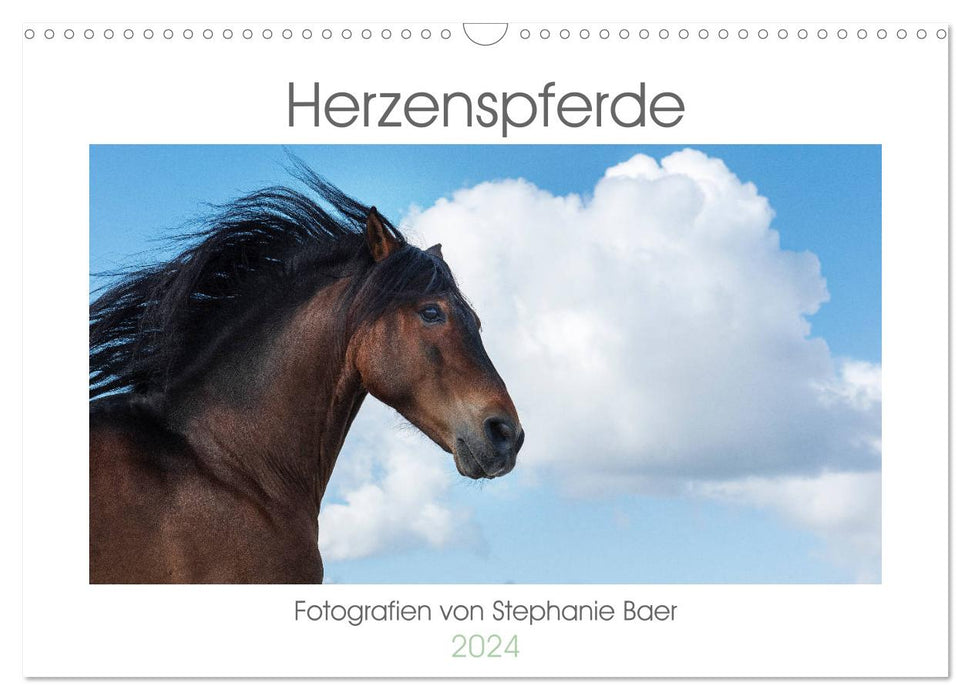 Herzenspferde 2024 (CALVENDO Wandkalender 2024)