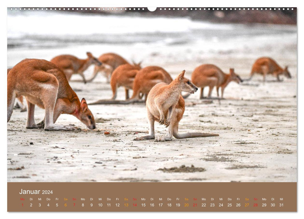Australien, tierischer Kontinent (CALVENDO Wandkalender 2024)
