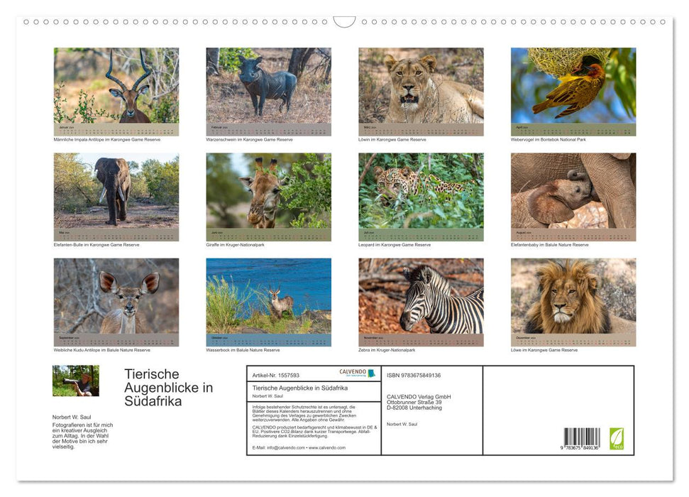 Tierische Augenblicke in Südafrika (CALVENDO Wandkalender 2024)