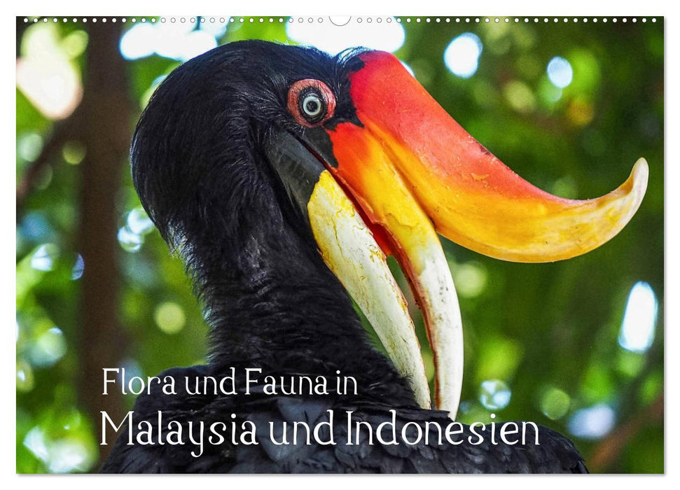 Flora und Fauna in Malaysia und Indonesien (CALVENDO Wandkalender 2024)