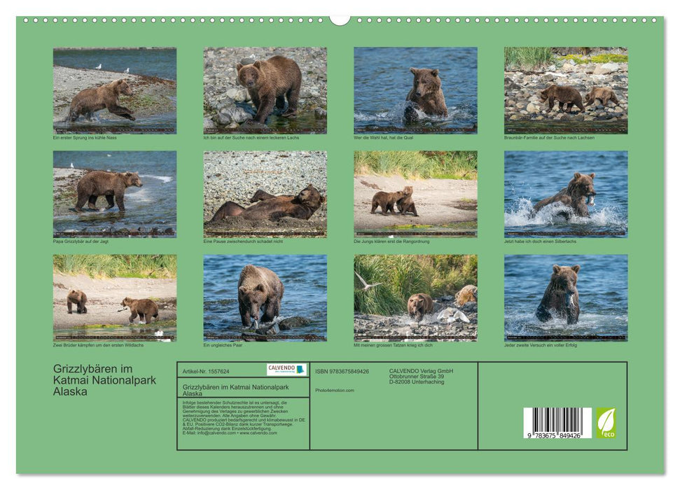 Grizzlybären im Katmai Nationalpark Alaska (CALVENDO Premium Wandkalender 2024)