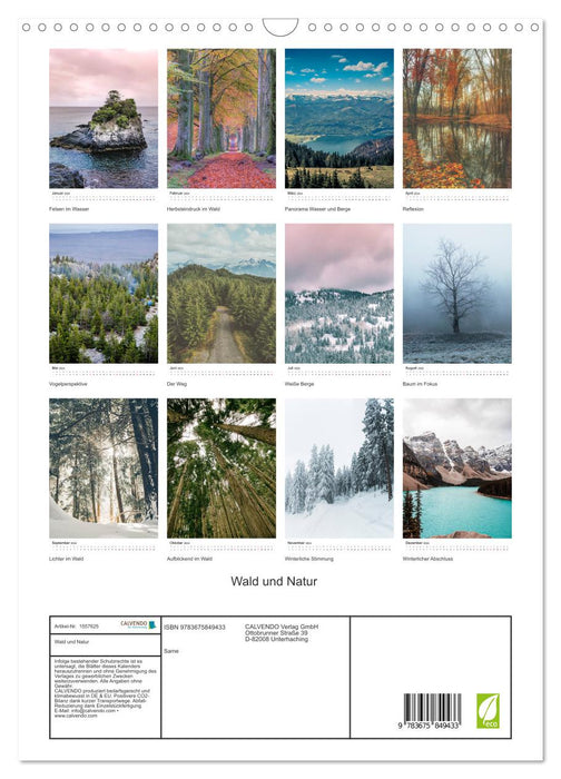 Wald und Natur (CALVENDO Wandkalender 2024)