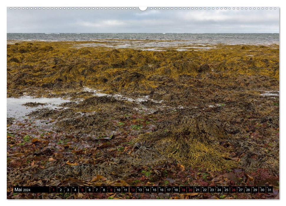 Blick aufs ruhige Meer (CALVENDO Premium Wandkalender 2024)