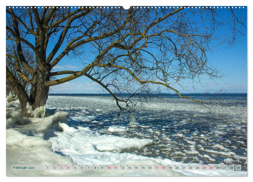 Mecklenburg Vorpommern - Wasser und Meer (CALVENDO Wandkalender 2024)