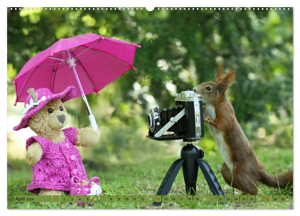 Eichhörnchen - Abenteuer mit Freund Teddy (CALVENDO Premium Wandkalender 2024)