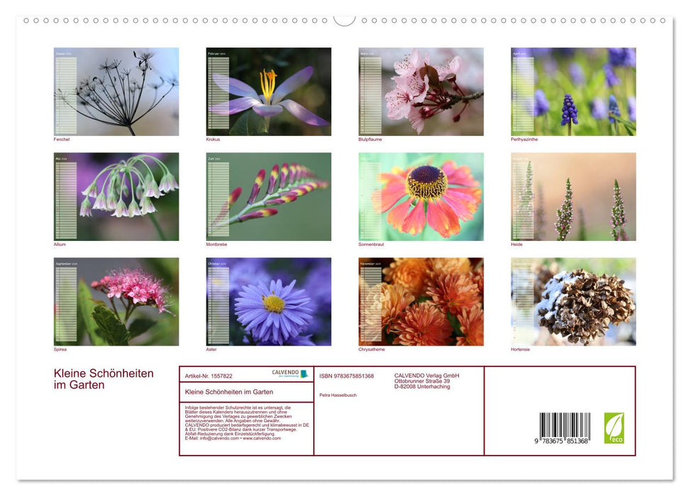 Kleine Schönheiten im Garten (CALVENDO Premium Wandkalender 2024)