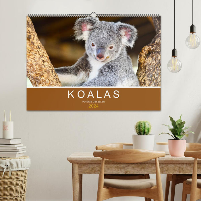 Koalas, putzige Gesellen (CALVENDO Wandkalender 2024)