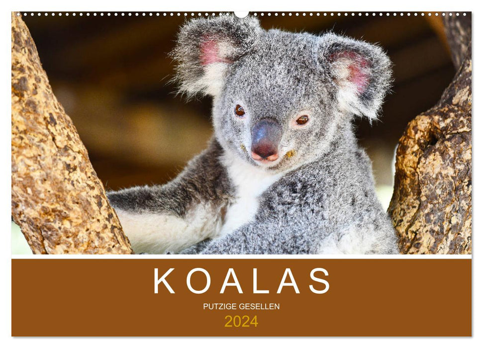 Koalas, des amis mignons (Calendrier mural CALVENDO 2024) 