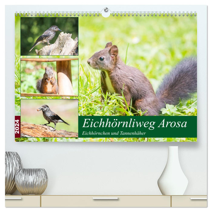 Eichhörnliweg Arosa - Eichhörnchen und Tannenhäher (CALVENDO Premium Wandkalender 2024)