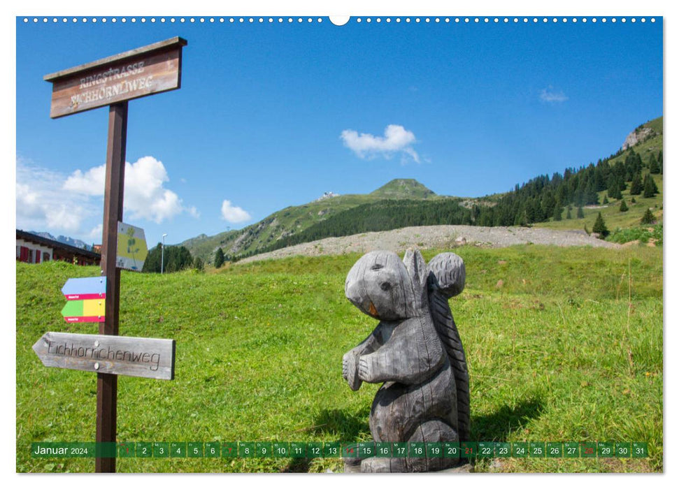 Squirrel Trail Arosa – Écureuils et geais des pins (Calvendo Premium Wall Calendar 2024) 