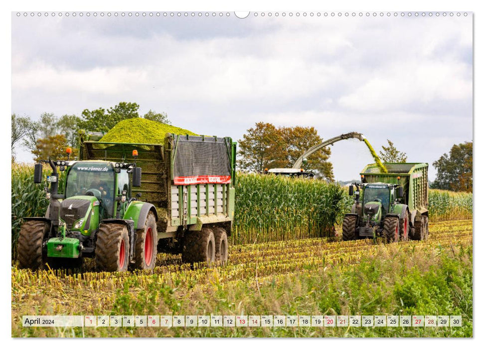 Récolte du maïs sur la digue (Calendrier mural CALVENDO Premium 2024) 