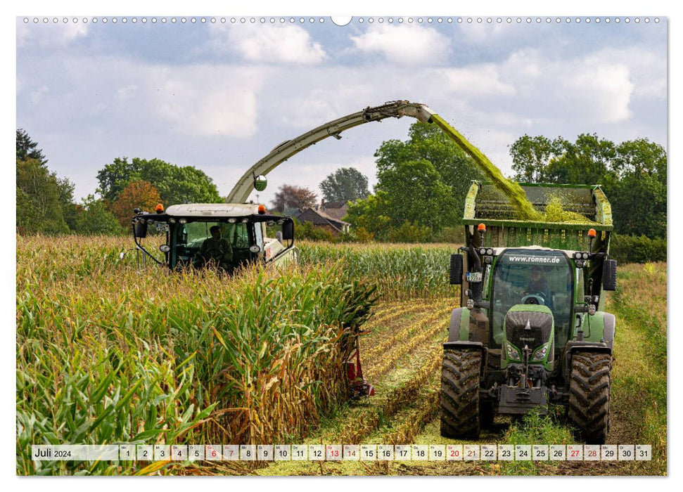 Récolte du maïs sur la digue (Calendrier mural CALVENDO Premium 2024) 