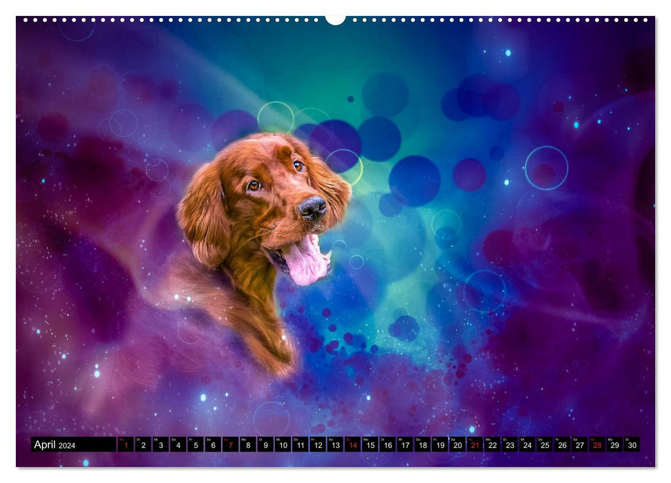 Chiens magiques - des chiens qui nous enchantent chaque jour (Calendrier mural CALVENDO Premium 2024) 