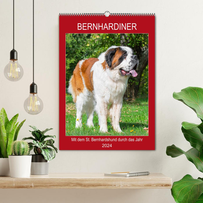 Bernhardiner - Mit dem St. Bernhardshund durch das Jahr (CALVENDO Wandkalender 2024)