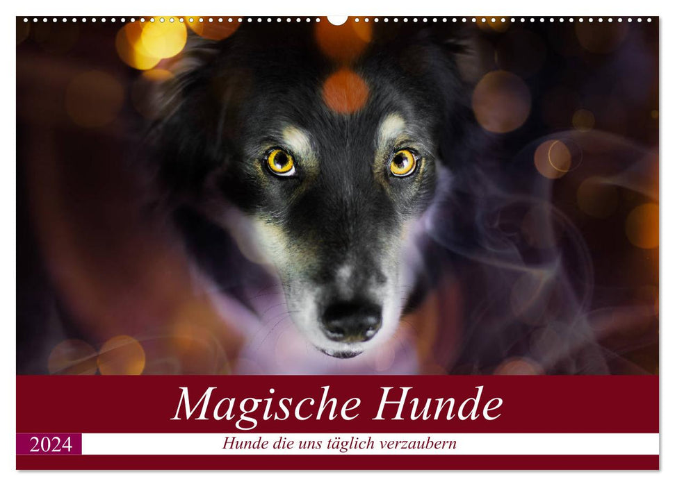 Magische Hunde - Hunde die uns täglich verzaubern (CALVENDO Wandkalender 2024)