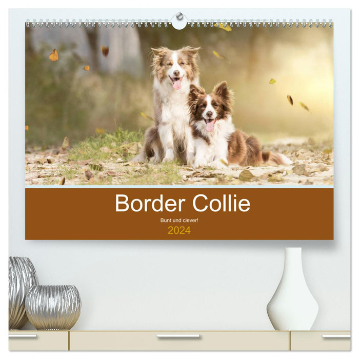 Border Collie - Coloré et intelligent ! (Calendrier mural CALVENDO Premium 2024) 