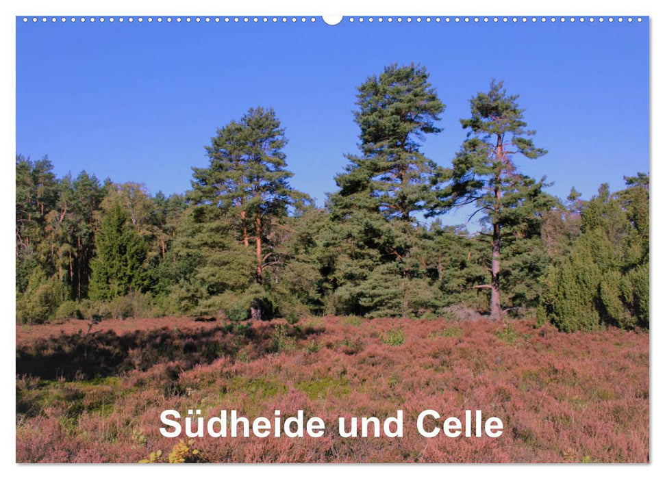 Südheide und Celle (CALVENDO Wandkalender 2024)