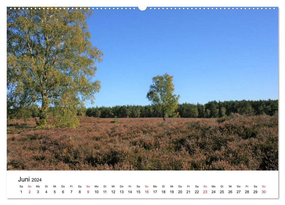 Südheide und Celle (CALVENDO Wandkalender 2024)