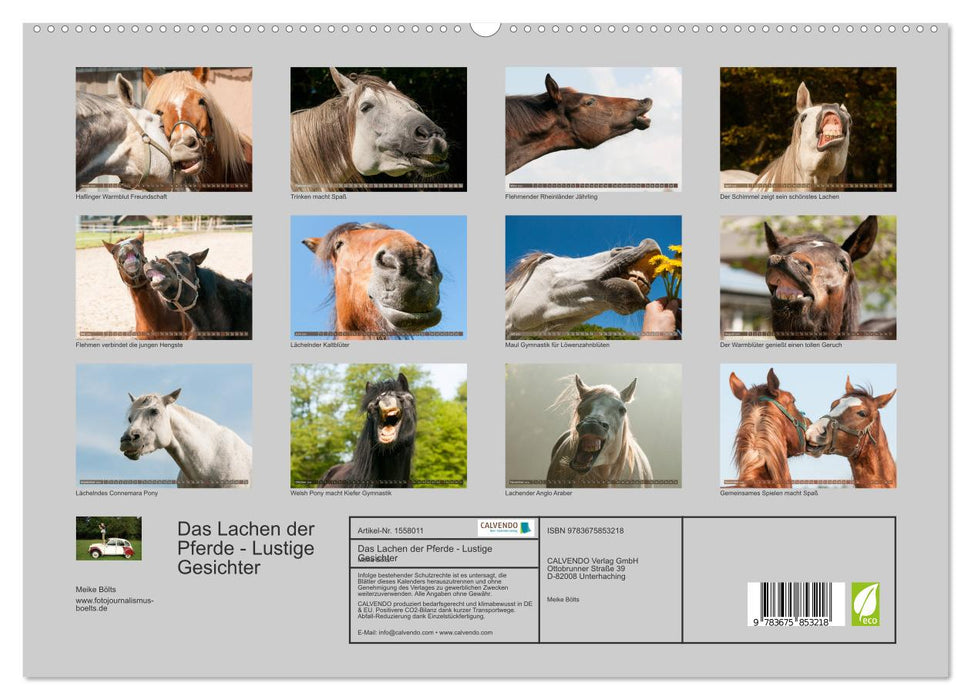 Le rire des chevaux - Grimaces (Calvendo Premium Wall Calendar 2024) 