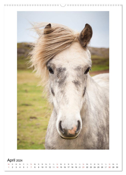 Coiffures au brushing (Calendrier mural CALVENDO Premium 2024) 