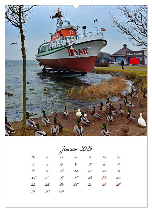 Burgstaaken an der Südküste von Fehmarn (CALVENDO Premium Wandkalender 2024)