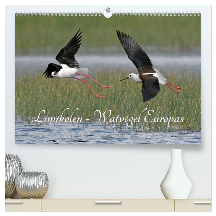 Limikolen - Watvögel Europas (CALVENDO Premium Wandkalender 2024)