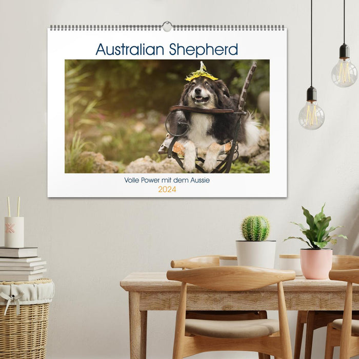 Australian Shepherd - volle Power mit dem Aussie (CALVENDO Wandkalender 2024)