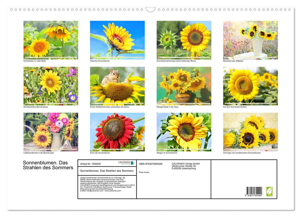 Sonnenblumen. Das Strahlen des Sommers (CALVENDO Wandkalender 2024)