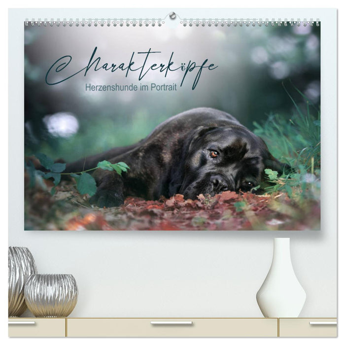 Charakterköpfe - Herzenshunde im Portrait (CALVENDO Premium Wandkalender 2024)